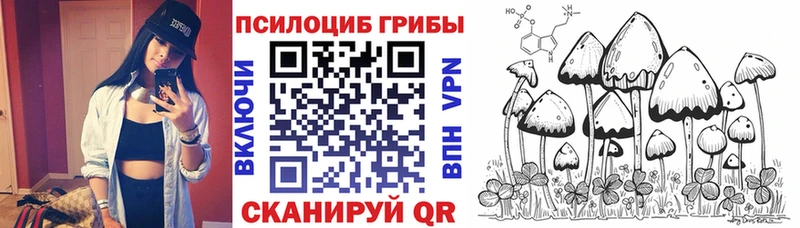 Галлюциногенные грибы мицелий  где можно купить наркотик  Хасавюрт 