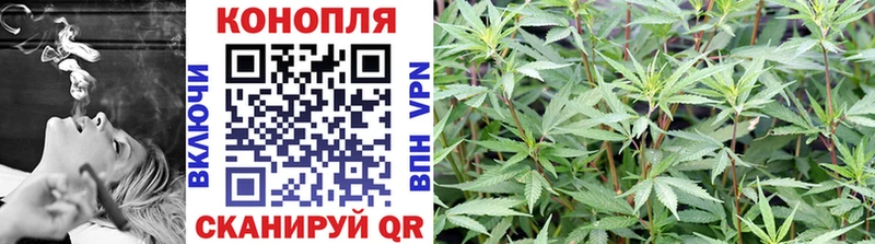 Бошки марихуана индика  Хасавюрт 